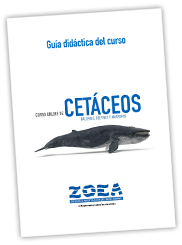 folletoCetaceos