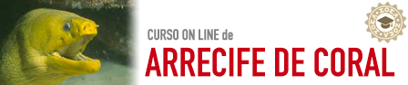 Rótulo del curso online de Arrecife de Coral