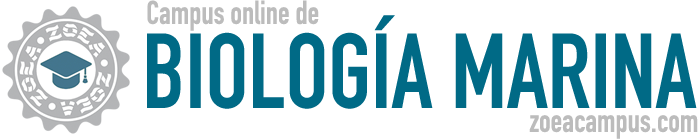 ZOEACAMPUS, campus online de Biología Marina