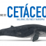 cursoCETACEOSWEB